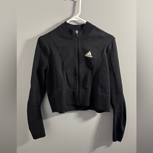 Adidas Dark Gray Primeblue Jacket